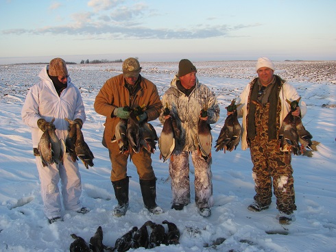 goose hunting in canada