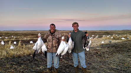 geese hunting canada